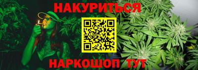 ГАЛЛЮЦИНОГЕННЫЕ ГРИБЫ Гатчина
