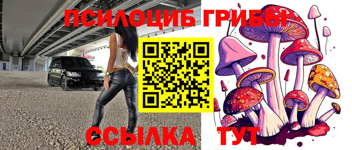 Галлюциногенные грибы Psilocybine cubensis Искитим